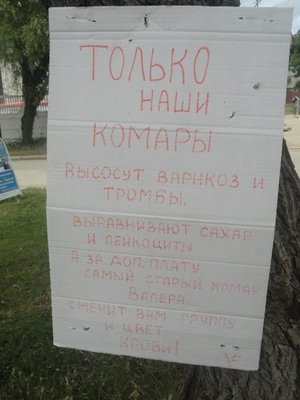 valera.jpg (48.57 КБ) 16760 просмотров valera.jpg