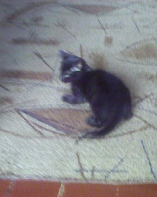 Мелкая была