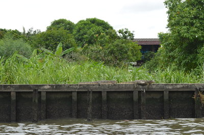 Банкок - районы на воде
