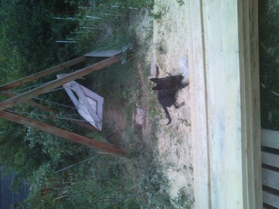 сабак не мой просто в гости пришла Ваня ты?